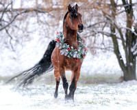 Christmas cards