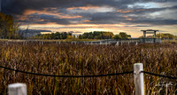 Horicon Marsh