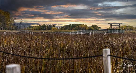 Horicon Marsh