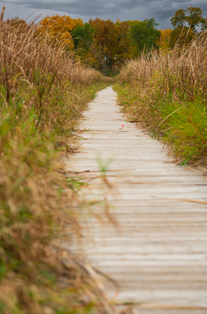 Horicon Marsh