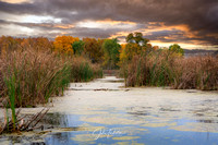 Horicon Marsh